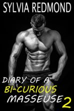 Diary of a Bi-curious Masseur 2