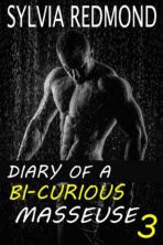 Diary of a Bi-curious Masseur 3